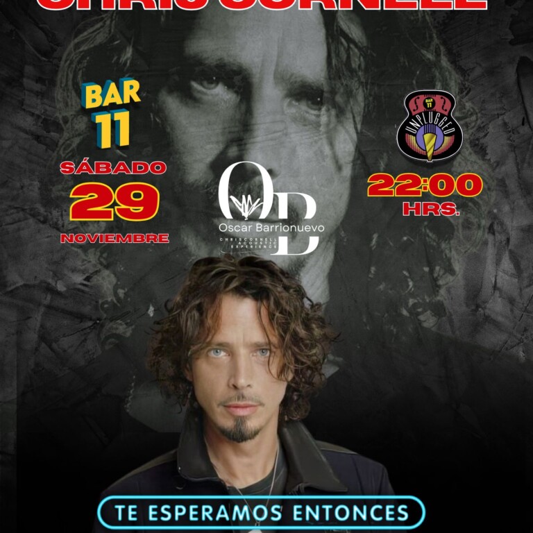 Tributo Chris Cornell en Bar 11, Sábado 29 de Noviembre